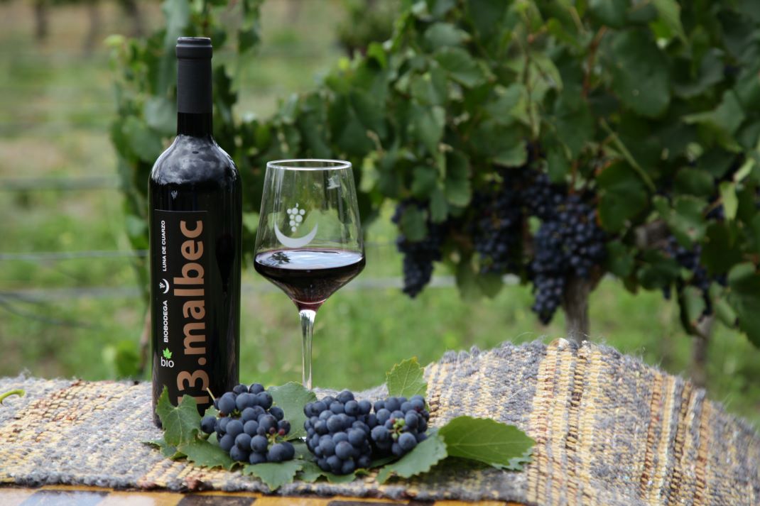 Biobodega Luna de Cuarzo